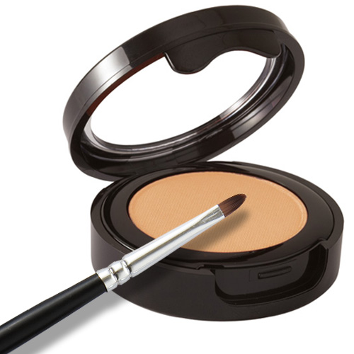 Brow Powder & Brush Set