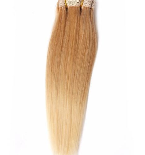 Clip On 487C Extensions by Wig Pro