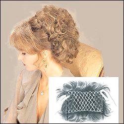 Accordian Chignon 213 by Look Of Love